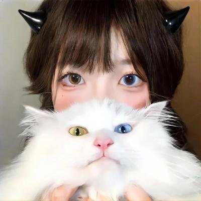 花满楼之松漠虎符